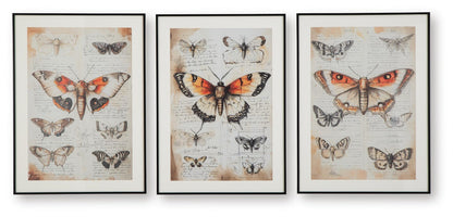 Jossletts Wall Art Set (3/CN)