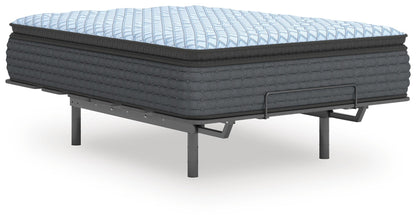 Destin Cove PT California King Mattress